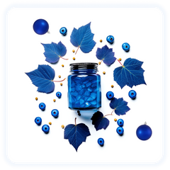 wellness healthy food diet online store